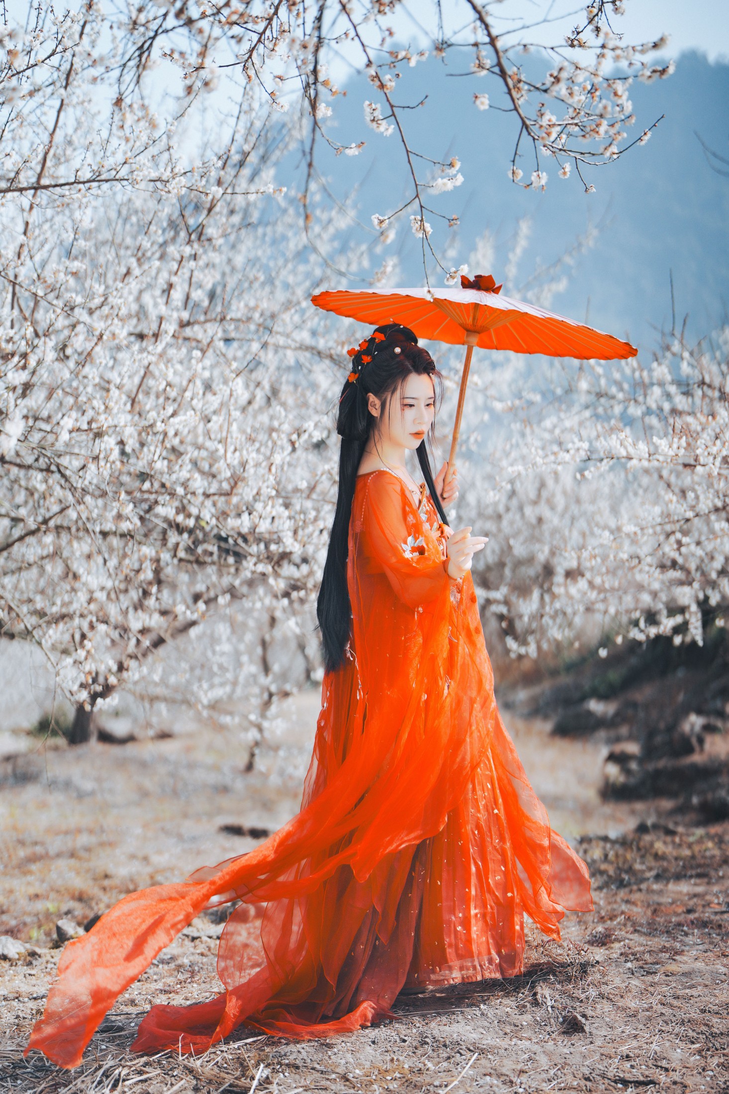 浅月没有月 – 《梅花古风人像拍摄》[18P] 插图1