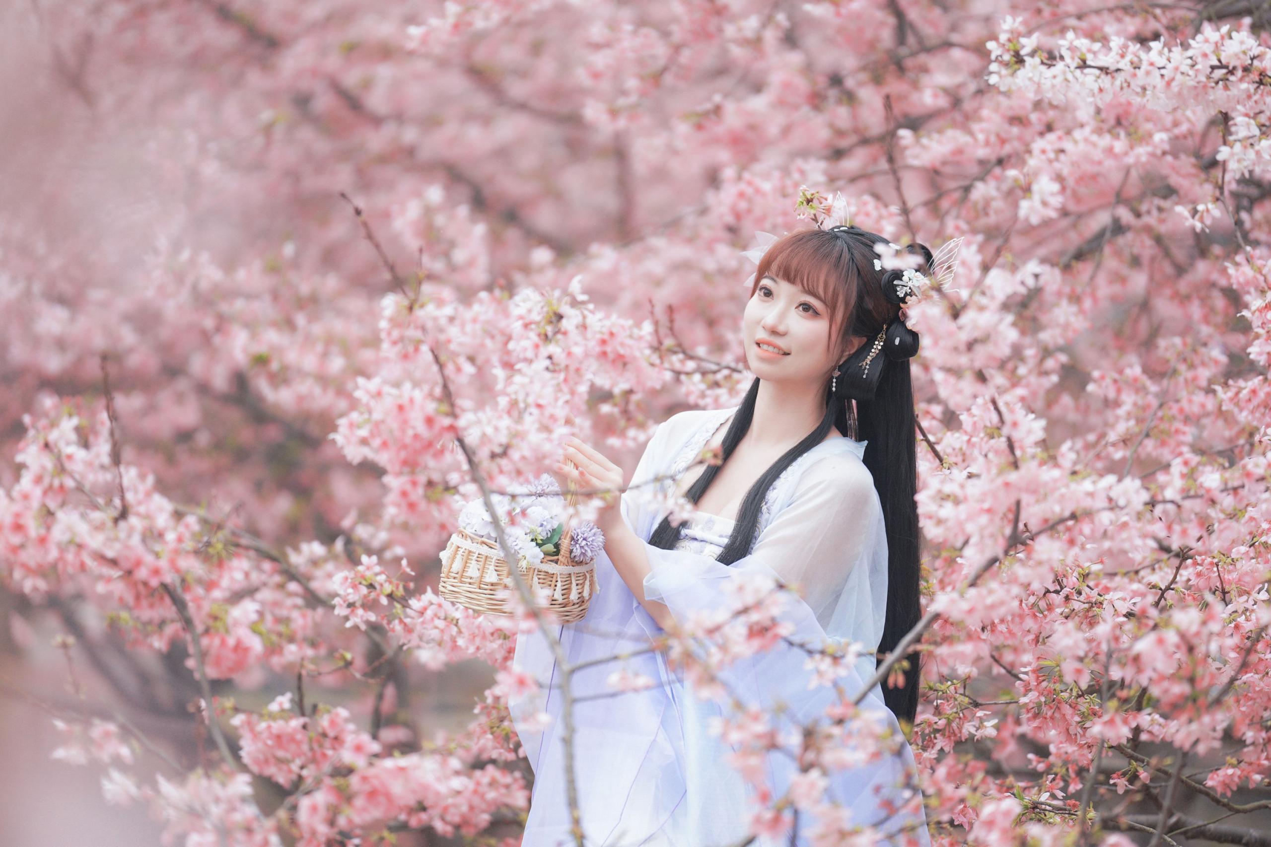 阿咩咩咩 – 《古风人像拍摄-樱花-陌上花开》[16P]