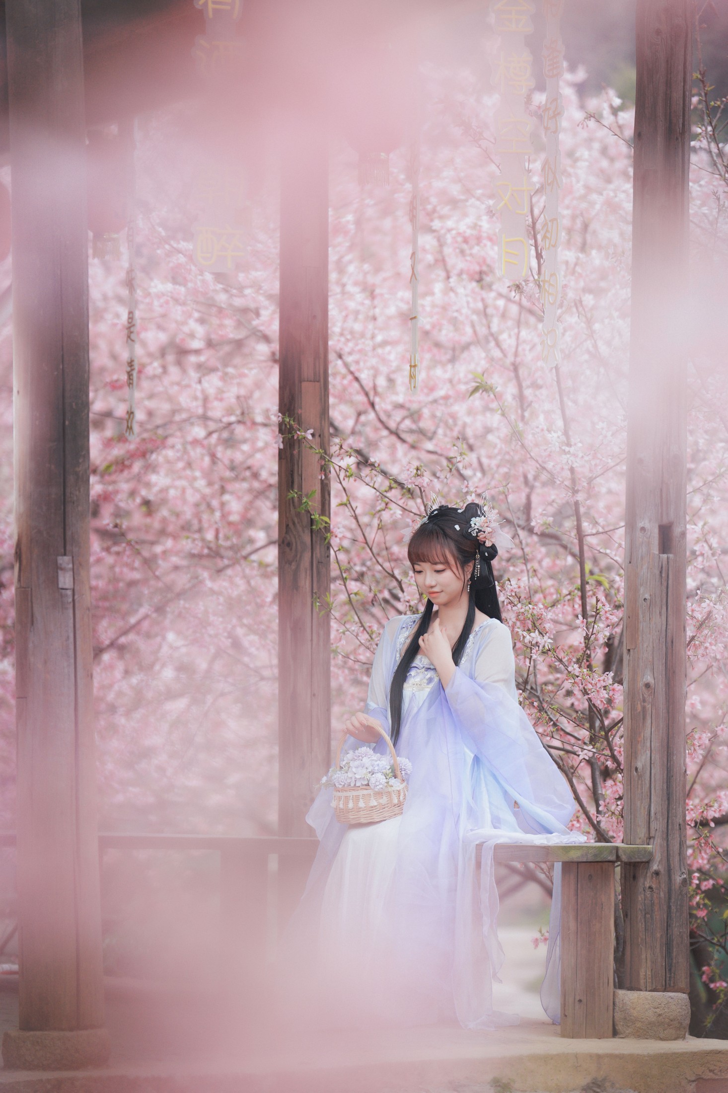 阿咩咩咩 – 《古风人像拍摄-樱花-陌上花开》[16P]