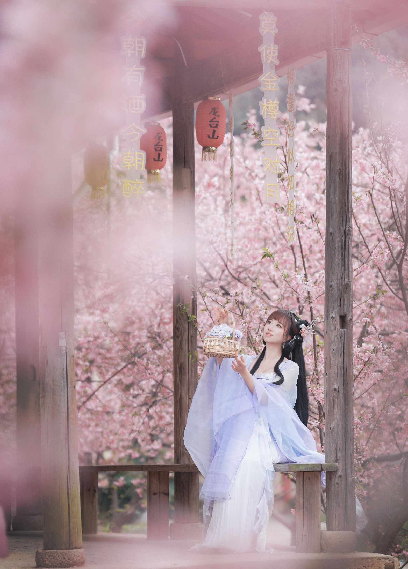 阿咩咩咩 – 《古风人像拍摄-樱花-陌上花开》[16P]