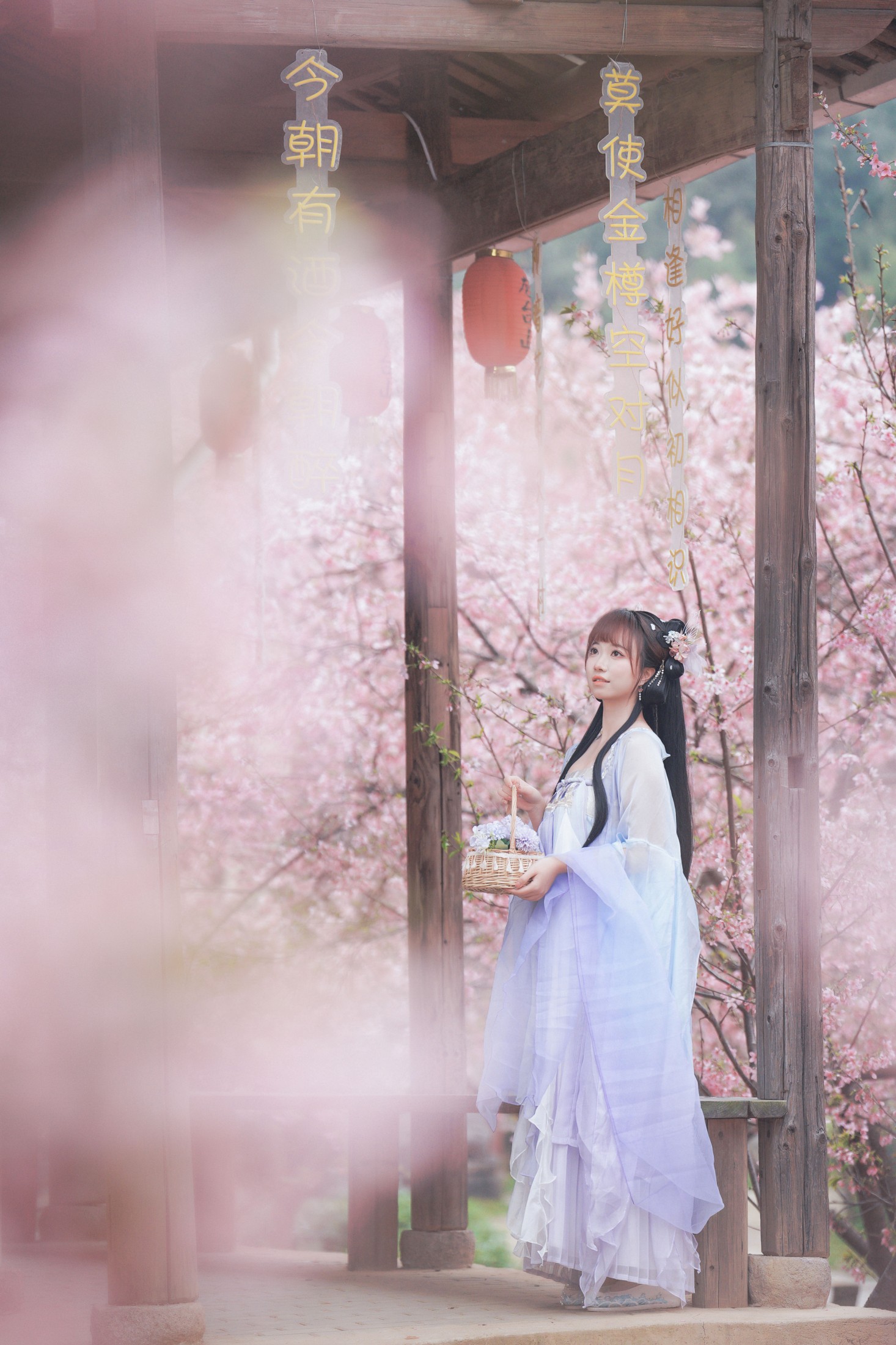 阿咩咩咩 – 《古风人像拍摄-樱花-陌上花开》[16P]