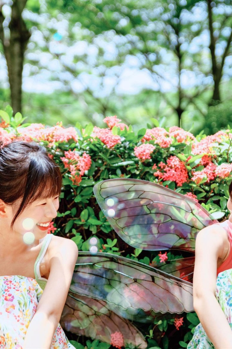 – 《精灵》[54P]